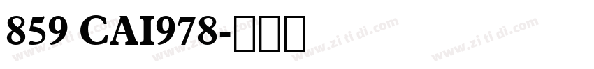 859 CAI978字体转换